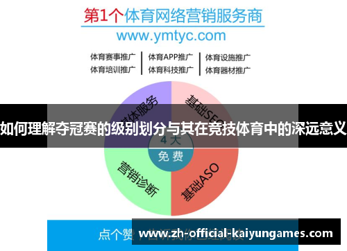 如何理解夺冠赛的级别划分与其在竞技体育中的深远意义