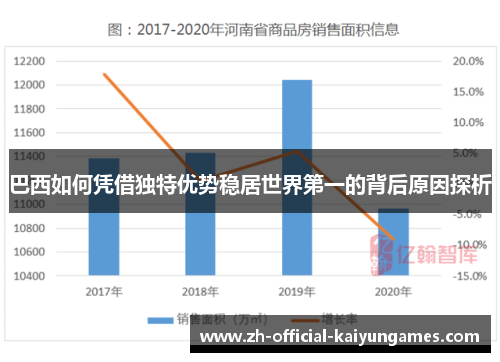 巴西如何凭借独特优势稳居世界第一的背后原因探析