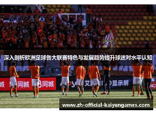 深入剖析欧洲足球各大联赛特色与发展趋势提升球迷对水平认知
