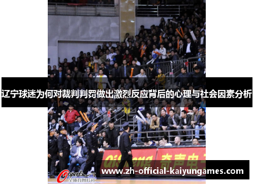 辽宁球迷为何对裁判判罚做出激烈反应背后的心理与社会因素分析 辽宁球迷为何对裁判判罚做出激烈反应背后的心理与社会因素分析