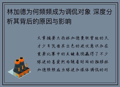 林加德为何频频成为调侃对象 深度分析其背后的原因与影响